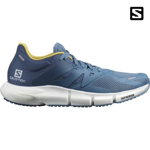 Sapatilhas de Corrida Salomon Predict 2 Masculino Azuis | PT Q12493